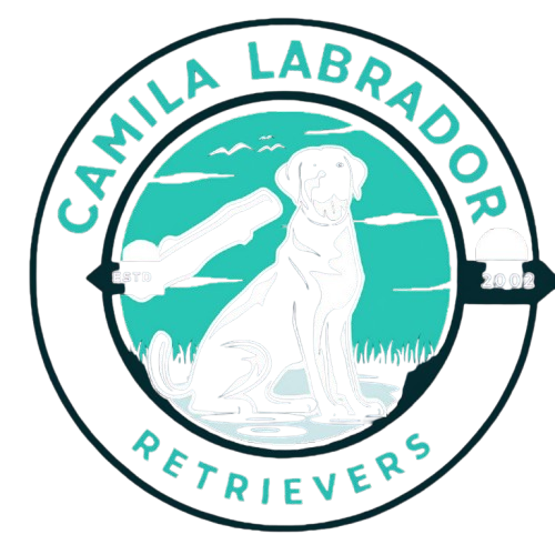 6039591086629962142-removebg-preview