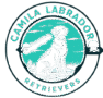 camilalabradorretrievers.com